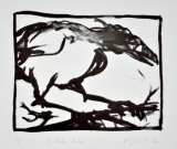 wildes-huhn