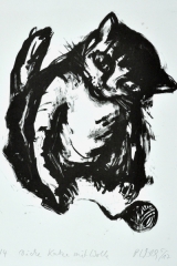 Dicke Katze mit Wolle